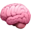 Emoji mozku